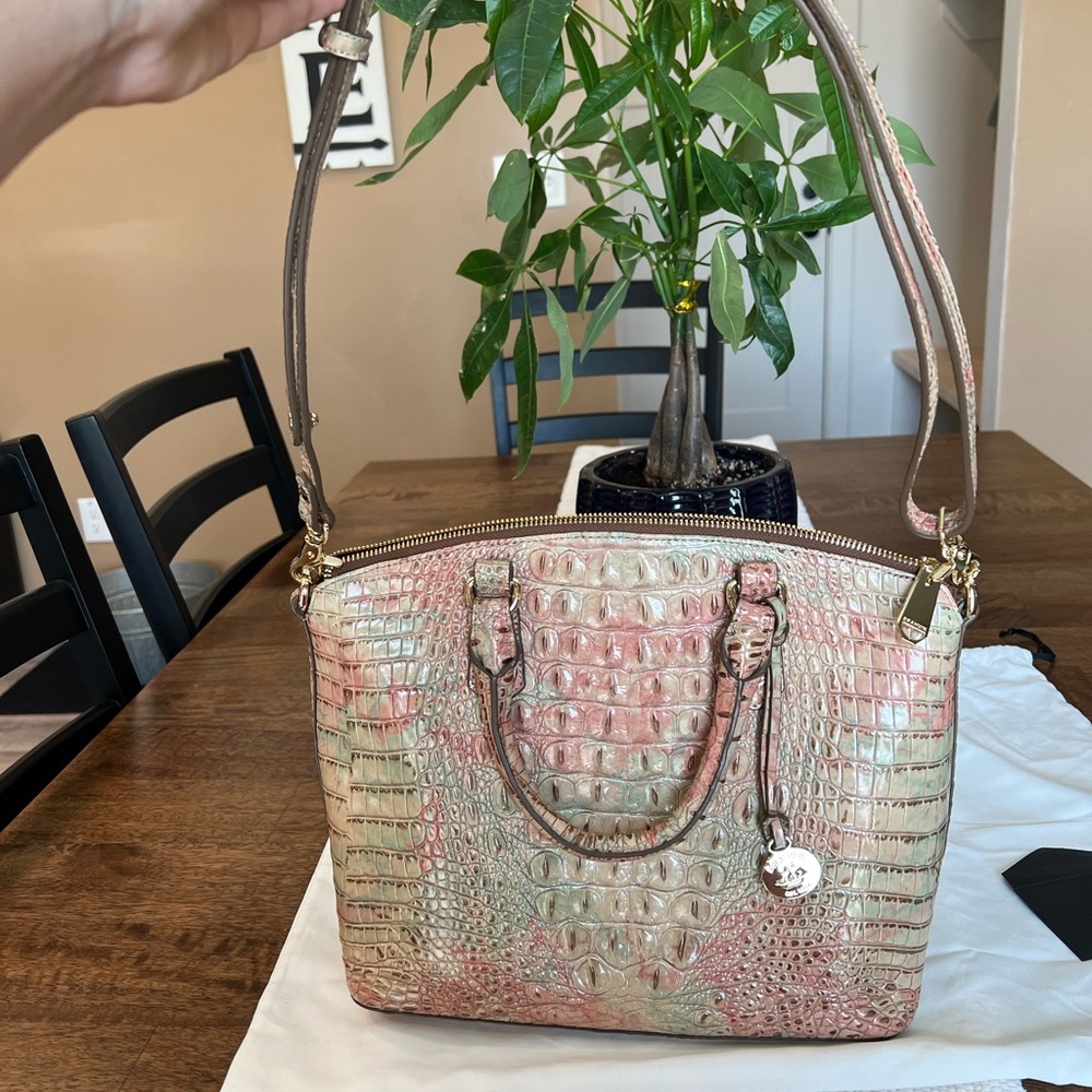 Brahmin medium duxbury